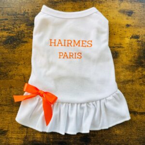 HAIRMES PARIS W/ ORANGE BOWTIE
