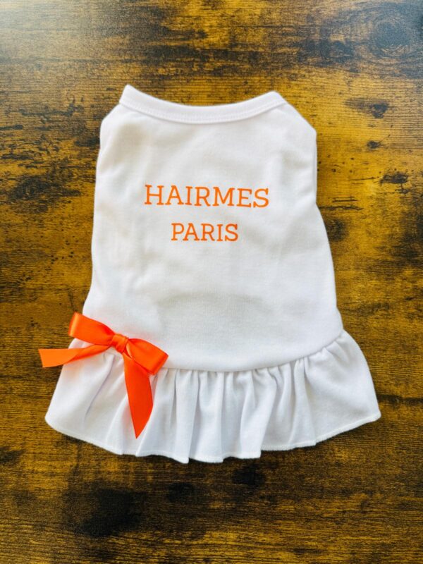 HAIRMES PARIS W/ ORANGE BOWTIE