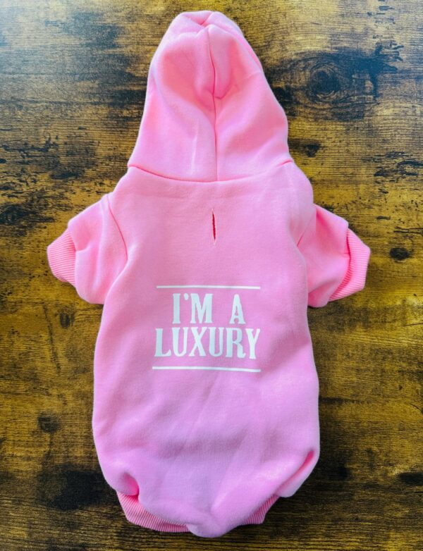 IM A LUXURY PINK HOODIE